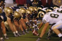 综合格斗赛场焦点！荷兰队对阵比利时队，年轻新星表现惊艳，未来可期